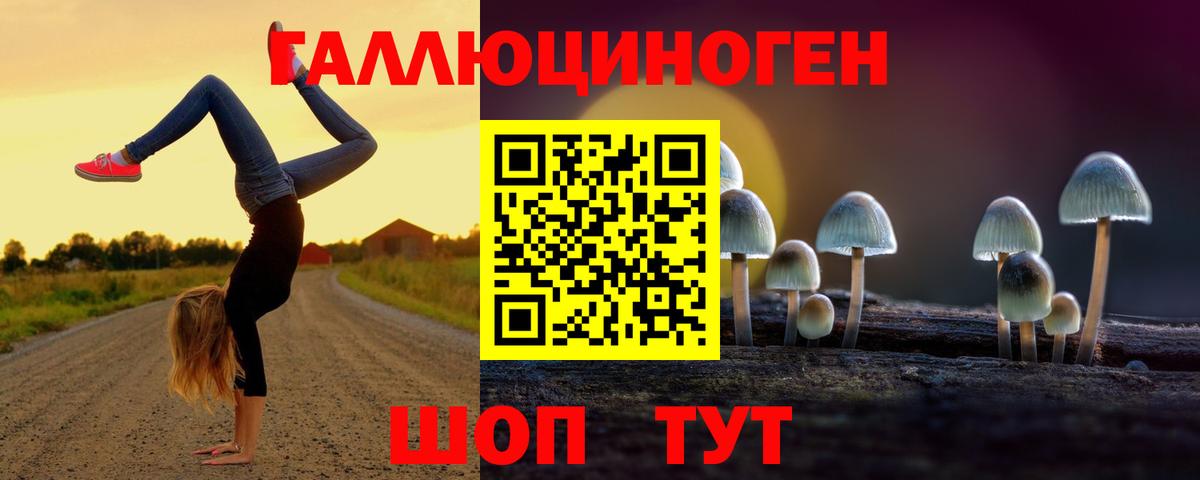 Красноармейск  Псилоцибиновые грибы GOLDEN TEACHER  Галлюциногенные грибы прущие грибы  Вход с VPN 